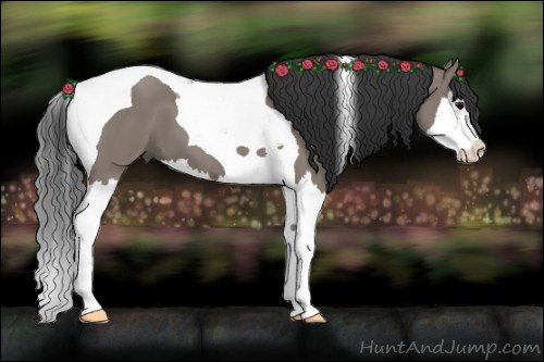 Horse Color: Grullo Splash Tobiano 