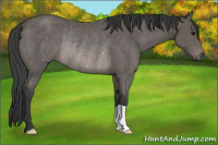 Horse Color:Brown Rabicano 
