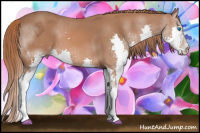 Horse Color:Liver Chestnut Splash 
