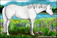 Horse Color:White Spotted Cremello Sabino Blanket Rabicano 