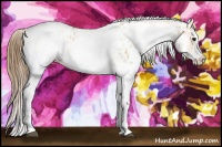 Horse Color:White Spotted Buckskin Blanket 