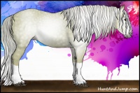 Horse Color:Gray Watercolor Palomino Splash 