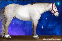 Horse Color:Gray Nacre Classic Champagne Roan