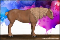 Horse Color:Chestnut Splash Frame  Brindle