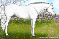 Horse Color:Gray Bay Dun Tobiano 