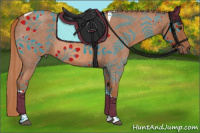 Horse Color:Red Roan Tobiano 