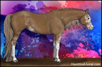 Horse Color:Chocolate Palomino Sabino 