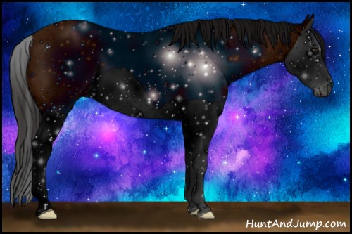 Horse Color: ERROR: UNKNOWN ANOMALY