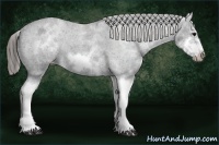 Horse Color:White Spotted Blue Roan Splash Frame Varnish 