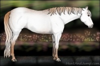 Horse Color:Gray Red Roan  Brindle