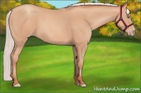 Horse Color:Silver Amber Champagne