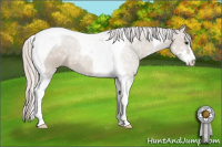 Horse Color:Silver Grullo Ice Sabino Tobiano 