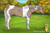 Horse Color:Silver Grullo Ice Tobiano