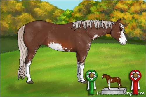 Horse Color: Silver Brown Sabino 