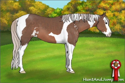 Horse Color: Silver Black Sabino Splash Tobiano 