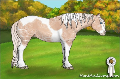 Horse Color: Silver Classic Champagne Ice Sabino Splash Tobiano 
