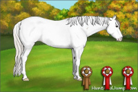 Horse Color:White Spotted Silver Grullo Splash Tobiano 