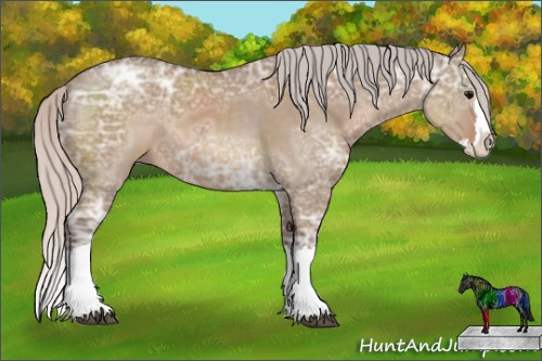 Horse Color: Silver Grullo Ice Sabino Splash 