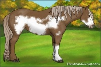 Horse Color:Chocolate Palomino Frame 