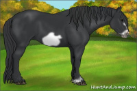 Horse Color:Black Frame 