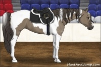 Horse Color:Smoky Grullo Tobiano 