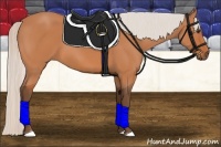 Horse Color:Silver Bay 