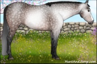 Horse Color:Gray Brown 