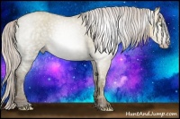Horse Color:Gray Silver Classic Champagne Ice Roan Dun Rabicano 