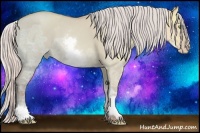 Horse Color:White Spotted Silver Amber Champagne Ice Dun 