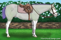 Horse Color:Watercolor Amber Champagne Splash 