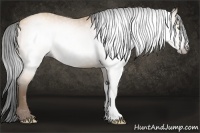 Horse Color:Gray Amber Champagne 