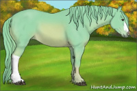 Horse Color:Watercolor Chestnut 
