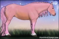 Horse Color:Watercolor Bay 