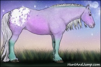 Horse Color:Watercolor Silver Bay Appaloosa 