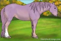 Horse Color:Watercolor Chestnut 