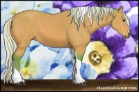 Horse Color:Watercolor Silver Bay Tobiano 