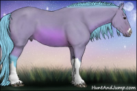 Horse Color:Watercolor Bay 