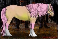 Horse Color:Watercolor Bay 