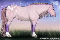 Horse Color:Watercolor Buckskin Roan Dun Appaloosa 