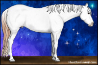 Horse Color:White Spotted Bay Dun Splash Frame Appaloosa 