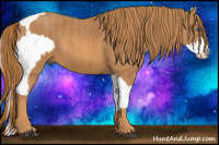 Horse Color:Bay Splash Near Leopard  Brindle