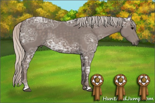 Horse Color: Silver Black Ice 