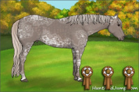 Horse Color:Silver Black Ice 
