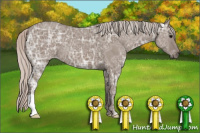Horse Color:Silver Grullo Ice 