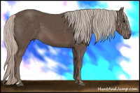 Horse Color:Silver Black 