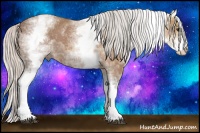 Horse Color:White Spotted Silver Bay Ice 