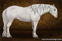 Horse Color:Chocolate Palomino Varnish 