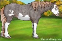 Horse Color:Liver Red Roan Splash Frame 