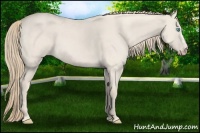 Horse Color:Smoky Creme Roan Dun 