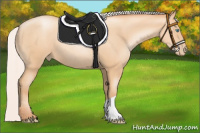 Horse Color:Silver Amber Champagne Pearl 